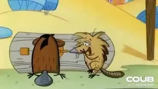 Ei Kurwa Angry Bobr