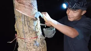 Walo rubber ratachim memang kalakjok  _rubber tiping vlog #viral