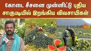 Watermelon Cultivation in Coimbatore | TN Farmers | Summer Season | Thondamuthur | Sun News