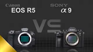 Canon EOS R5 vs Sony alpha a9