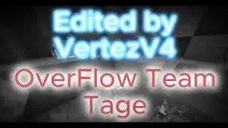 TEAM OverFlow | Crystal PvP Teamtage | 1.9+