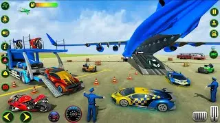 Police plane transport game