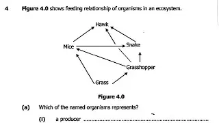2016 Biology paper 2(GCE)- Food chain/Ecology exam revision questions and answers