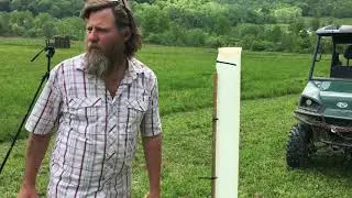 Planting Chestnut trees from Treepro