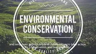Preserving Our Planet: The Power of Environmental Conservation