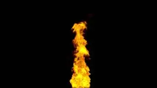 Particles Video Footage - Background Video Particle Wave  4K - No Copyright Video