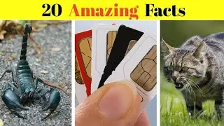 Top 20 Amazing Facts #factsinhindi #fact#viralvideo #trending