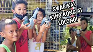 SWAP DAW KAMI KALAPATI SI LOLONG AT KING KONG GUSTO NILA