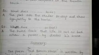 Class 6 Oxford English lesson The Old Brown Horse comprehension