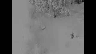 Parrot Anafi Thermal Drone