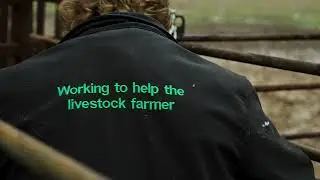 RFID Cattle Tracking Tags Through Shearwell Data