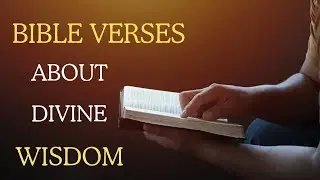 Wise Bible Verses That Bring Divine Wisdom