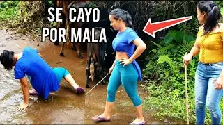 CRUCE DE VACAS /¡¡Sufre  Nueva Caída🤣!!