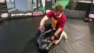 Best MMA Gloves Review | Elite Sports MMA Gloves!!
