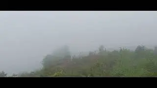 Dallapalli climate on 8/6/2024 near paderu
