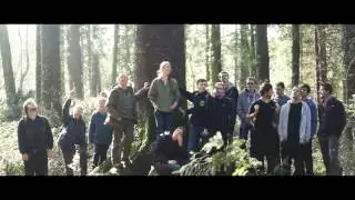 Forestry at Bangor University