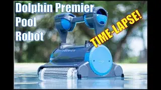 The Premier Dolphin Robotic Pool Cleaner In Action! A Time-lapse (Maytronics)