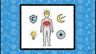 From Terror and Taboo, to social acceptance and the health benefits of masturbation