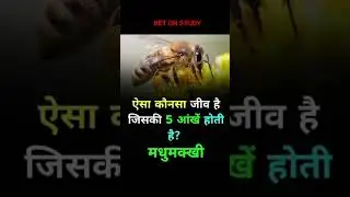5 आंख वाला जीव #gk #gkinhindi #shorts #tranding #betonstudy #ssc #bee #railwayexam