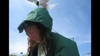 Island Research