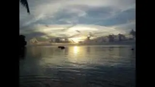 MALIGI° hiva kite fae