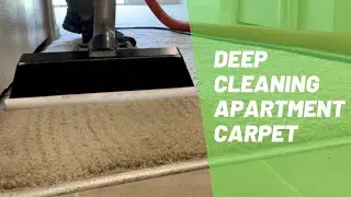 Cleaning Vlog #1 / Deep cleaning apartment carpet / Satisfying Carpet Cleaning