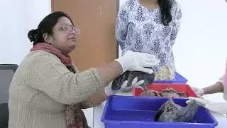 MBBS Class (2025-2026 Batch) Of Santiniketan Medical College & Hospital