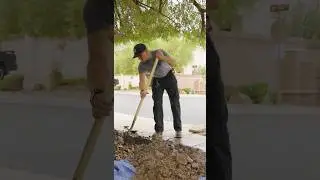 Expert Plumbing with Vegas Valley Plumbing