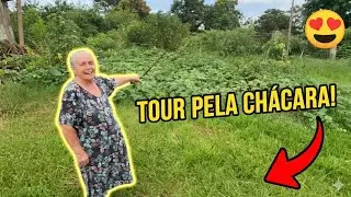 Você Não Vai Acreditar Nessa Chácara! | Tour Com Animais 