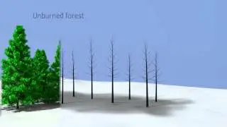 How wildfire impacts snowmelt