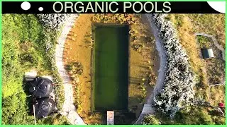 Stunning Off Grid Natural Pool - DIY - step by step