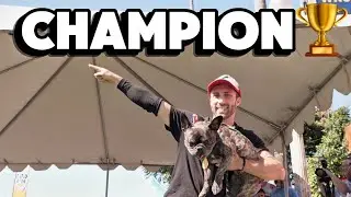 World&rsquo;s Fastest French Bulldog Wins Double Gold!