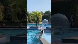 Beautiful Swimming Pool View #shorts
