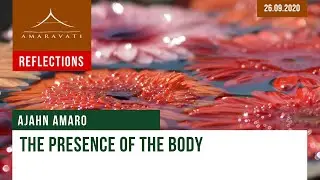 The Presence of the Body | Dhamma Reflection | 26.09.2020