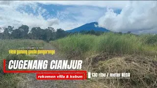 TANAH MURAH 130RB NEGO CIANJUR | LUAS 16000 METER