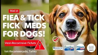 Best Flea and Tick Medications for Dogs 🐶 2025 | Vet-Recommended Protection! #thedog