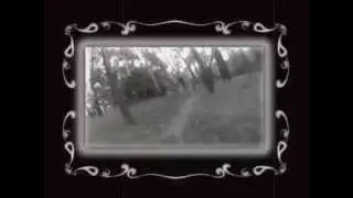 Lysterfield Follow Me (Sarge Edit)