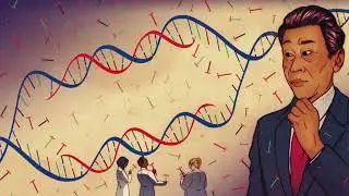 Genetic Entropy Destroys Evolution!