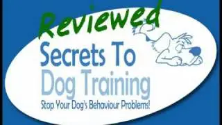 Best Dog Training Book