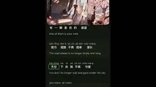 Learningchinese #playlist #languagelearning #learningchinese #lyrics #music #song #chineselanguage