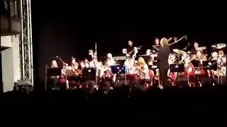 Já na koncertě(hraju na saxofon).🎷