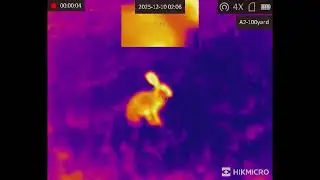 Gorto's Vermin Control - Cooma Monaro
