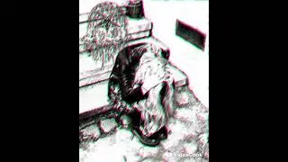 Lola - Almas entrelazadas (ft: Lola Renard from France)