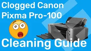 How to Clean a Severely Clogged Canon Print Head – Freehand Graphics™