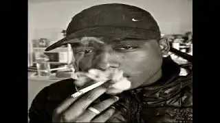Guizmo - Le premier chagrin du jour