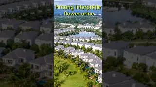 Hmong Interpreter part 14 #shorts