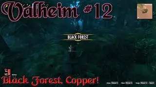 Valheim #12 - Black Forest, Copper, Novi Protivnici!