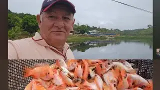 OLHA A QUANTIDA  DE PEIXES DIFERENTE QUE EU VOU MOSTRA NESSE VÍDEO 