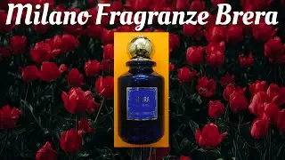 Brera By Milano Fragranze EDP 100ml Review, Hidden Gem Niche, Italian Job Done To Perfection!