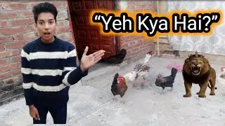Vlog Mein Aaj Yeh Kya Ho Gaya? 😲 |Rajaz Family Vlog